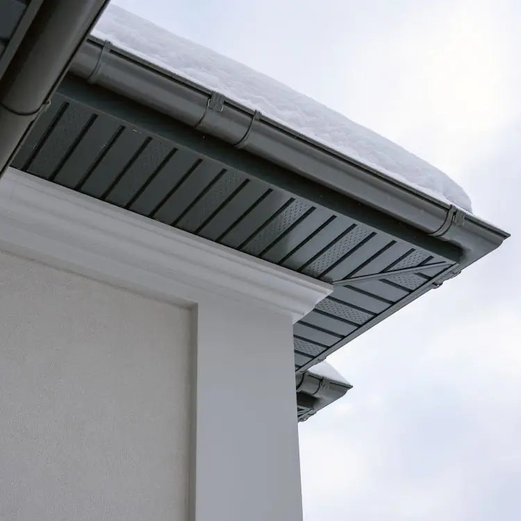 Fascia Repair and Installation Services in Colorado